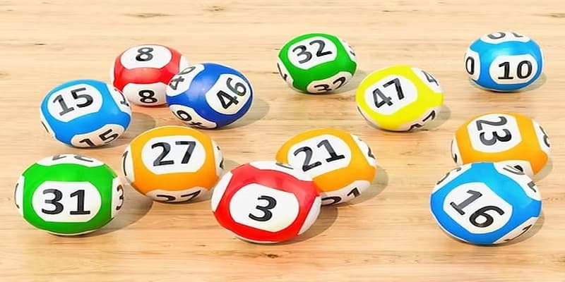 Bắt lô kép miền Bắc và phân loại