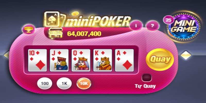 Mini pocker Mini pocker vì sao được ưa chuộng?