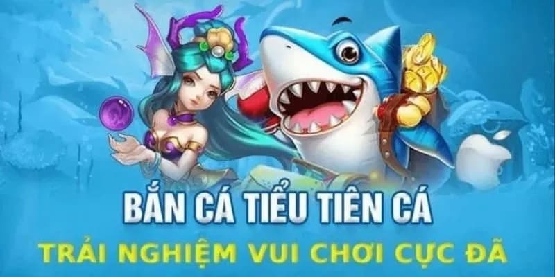Khám phá bắn cá Tiểu Tiên Cá và vì sao hấp dẫn người chơi
