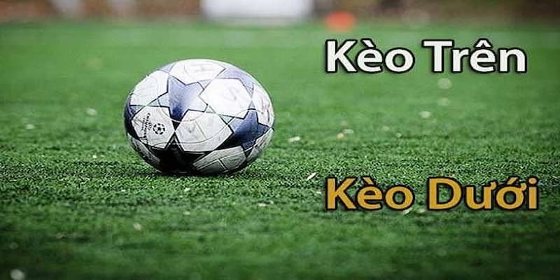 Phân loại kèo thường gặp trong nhóm kèo trên kèo dưới