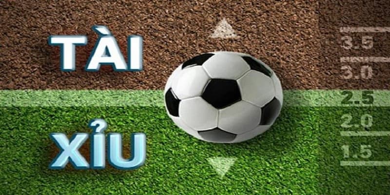 Tại sao kèo tài xỉu toàn trận được ưa chuộng?