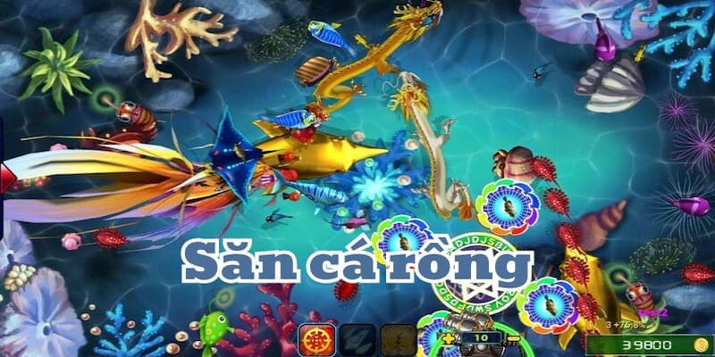Trải nghiệm bắn cá Rồng đỉnh cao tại W88 được tối ưu